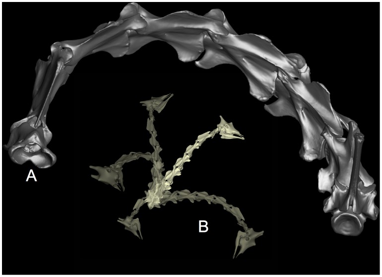 Figure 12