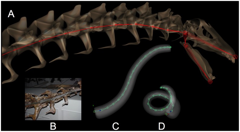 Figure 25