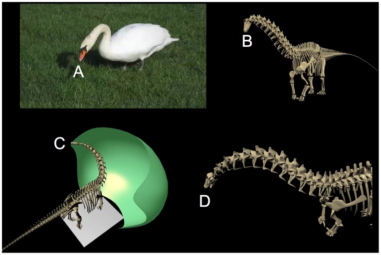 Figure 20