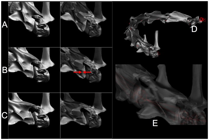 Figure 24