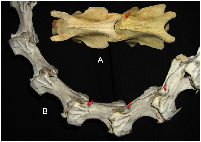 Figure 10