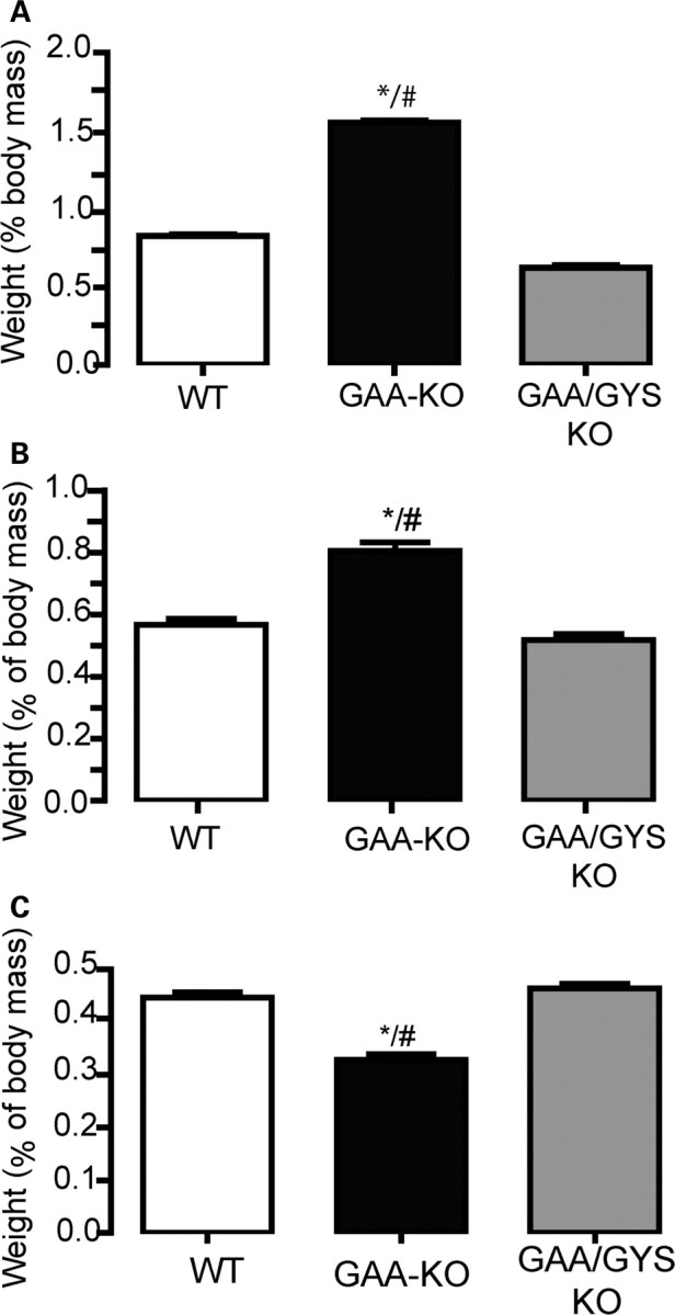 Figure 2.