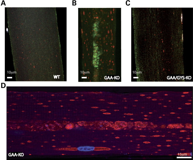 Figure 3.