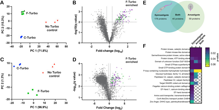 FIG 3