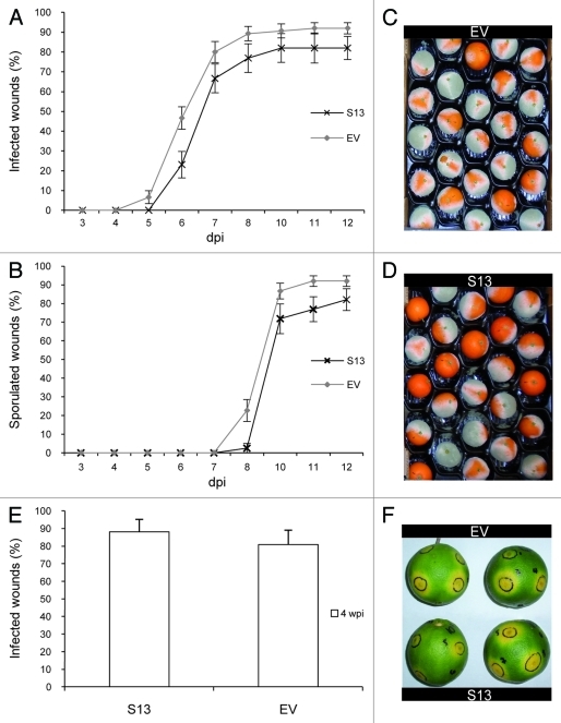 Figure 2.