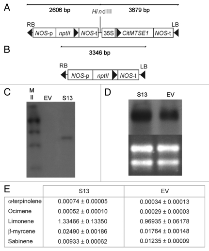 Figure 1.