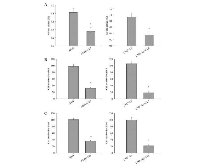 Figure 5.