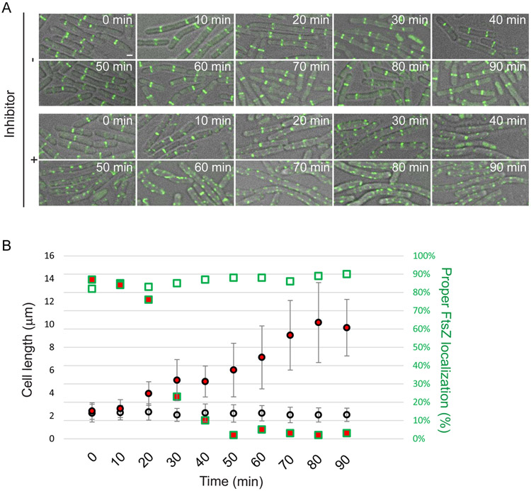 Figure 4: