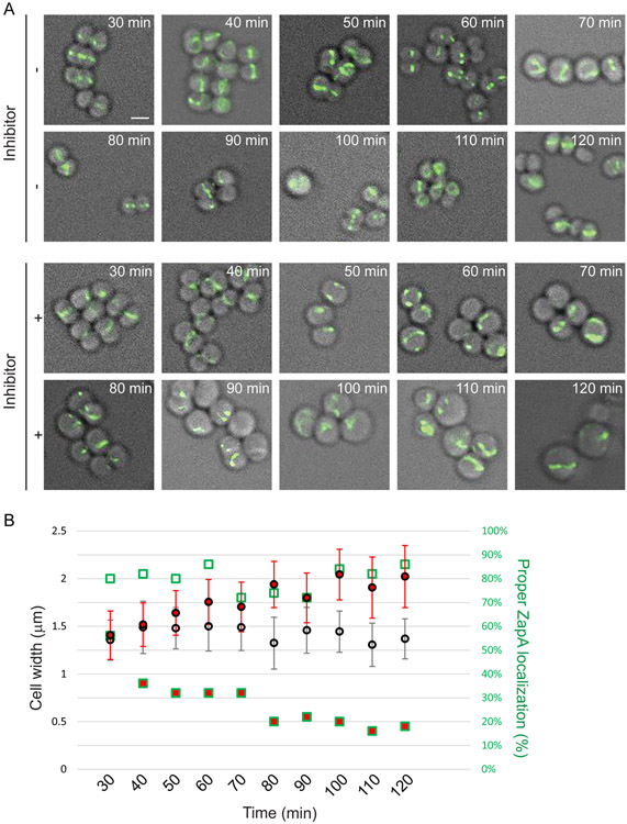 Figure 3: