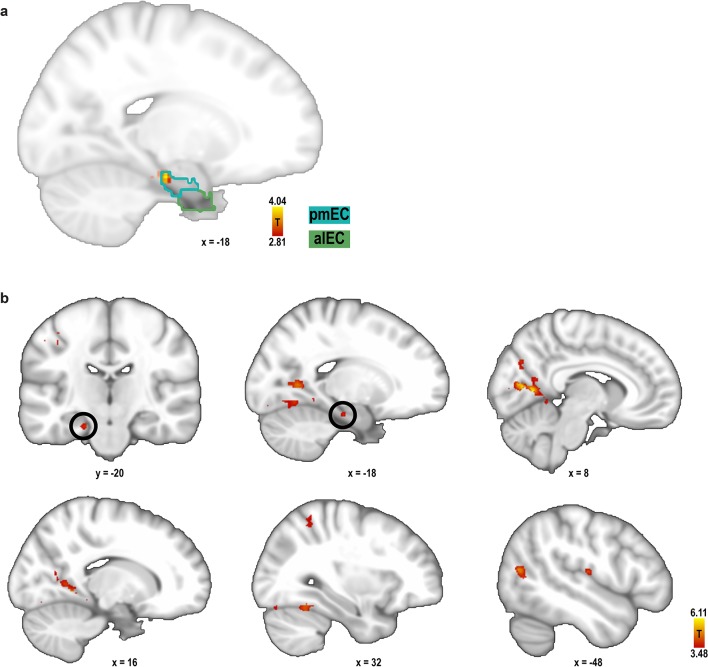 Figure 3—figure supplement 10.