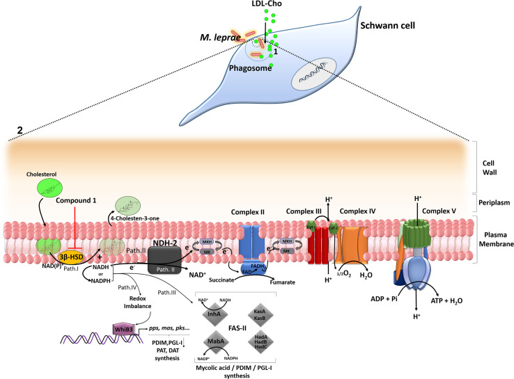 Figure 6