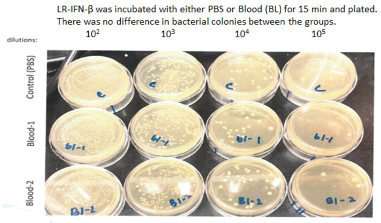 Figure 13