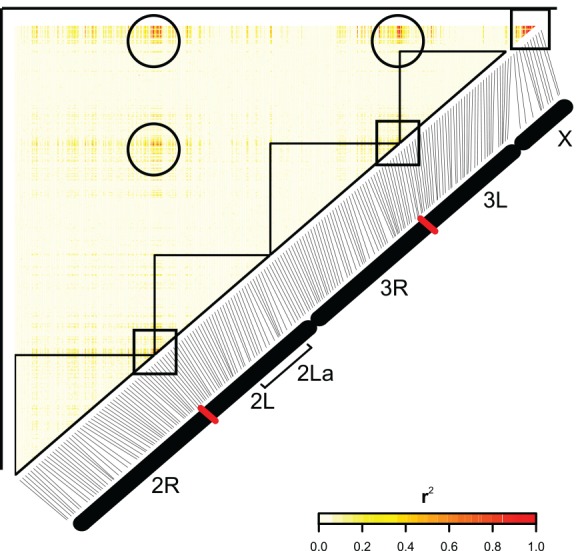 Fig 5