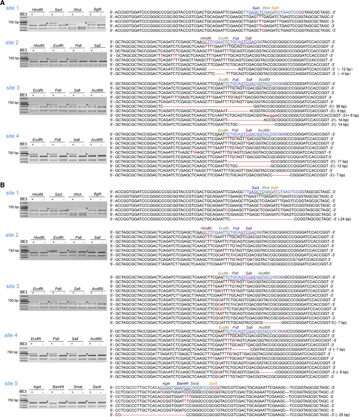 Figure 2