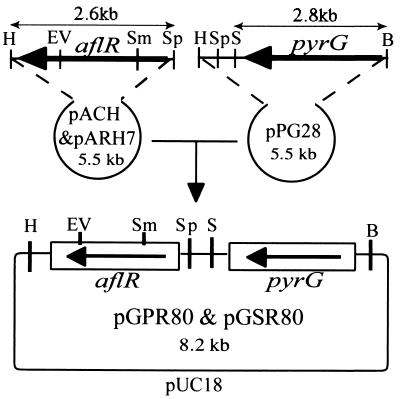 FIG. 3.