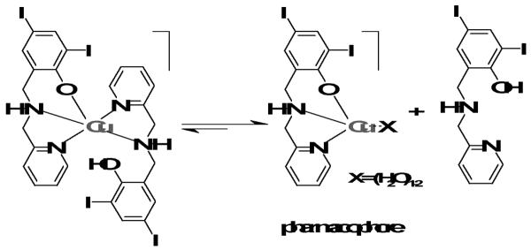 Scheme 2