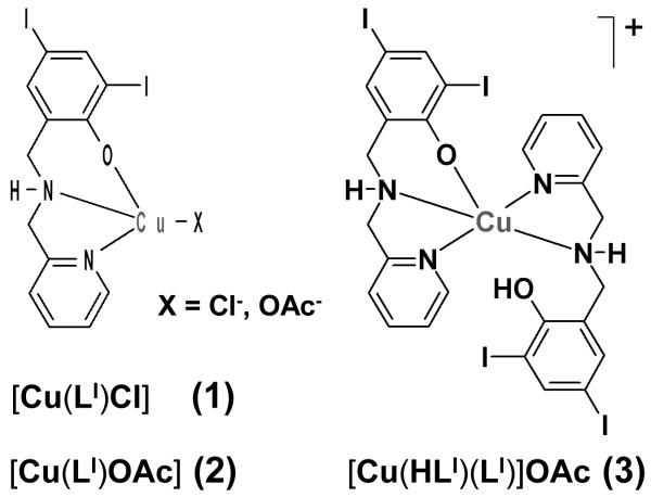 Scheme 1