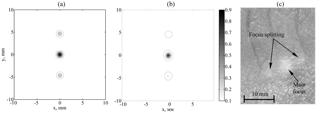 Fig. 8