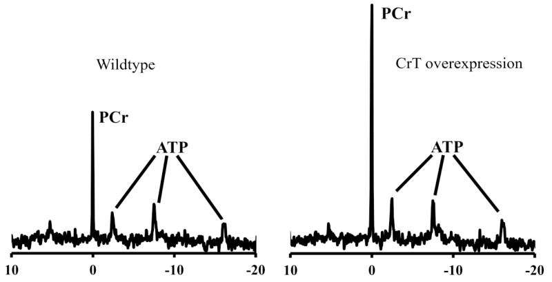 Fig. (3)