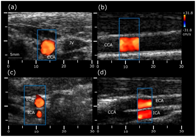 Fig. 3