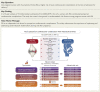 Structured Graphical Abstract