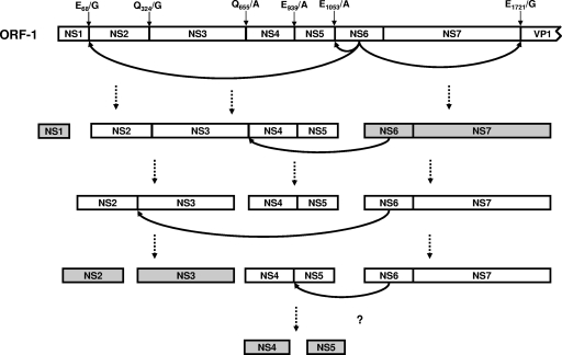 FIG. 7.