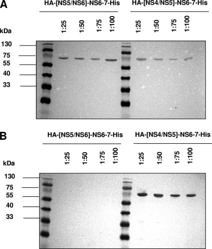 FIG. 5.