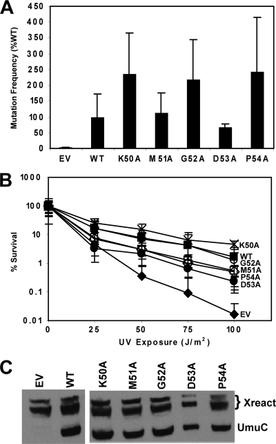 Fig. 9.