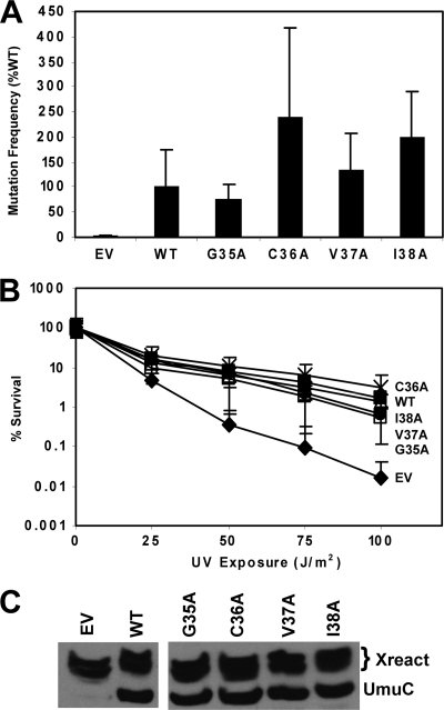 Fig. 8.