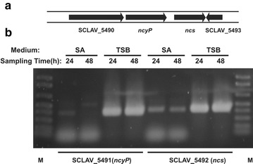 Fig. 6