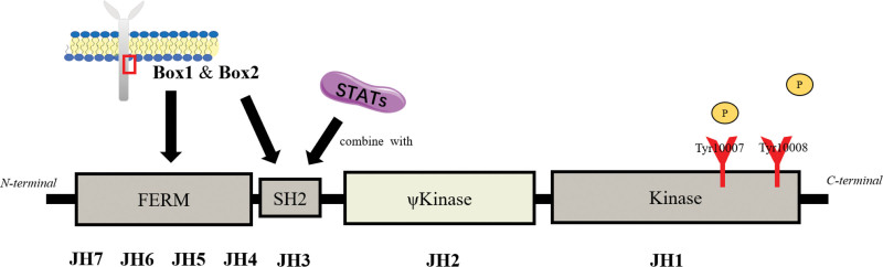 Figure 1.