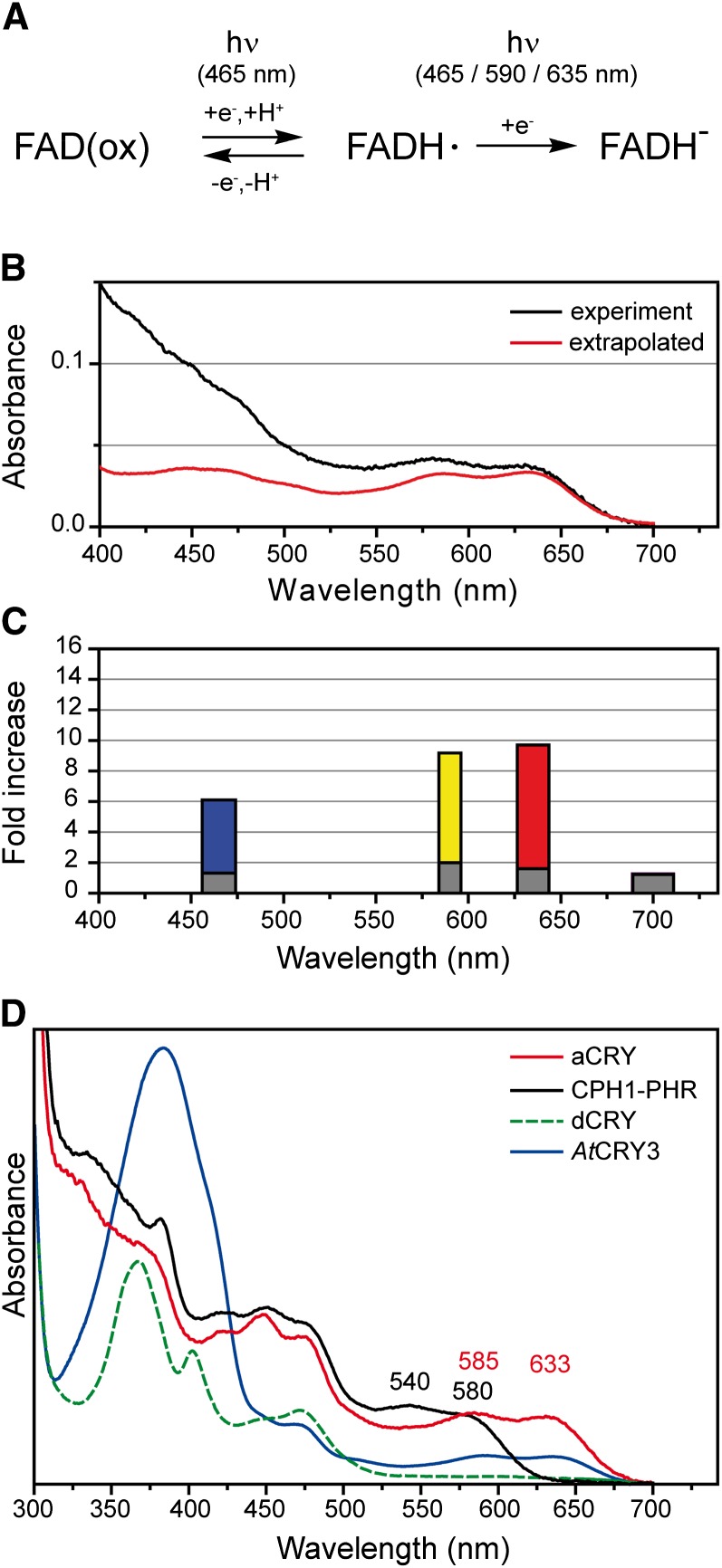 Figure 7.