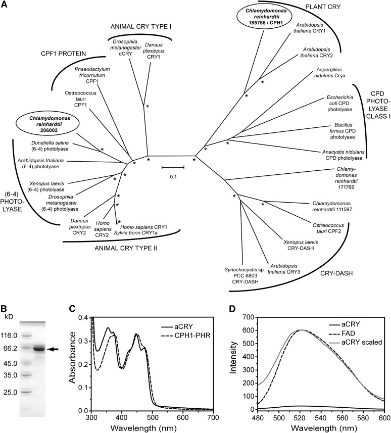 Figure 1.