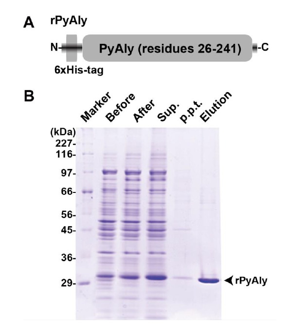 Fig. (3)