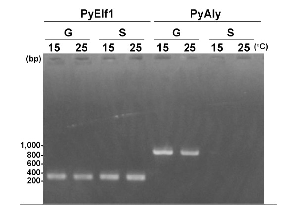 Fig. (9)