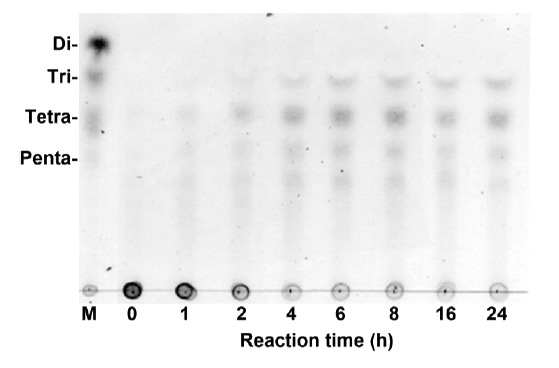 Fig. (7)