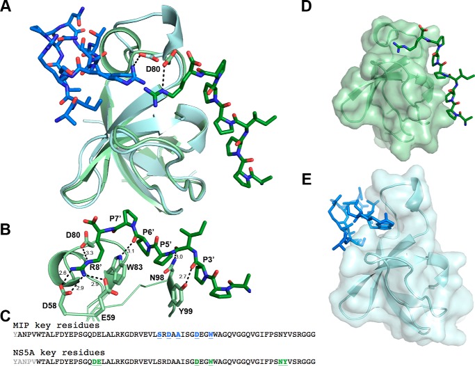 Figure 6.