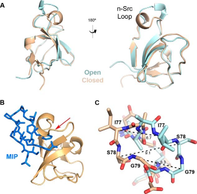 Figure 5.