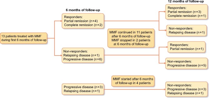 FIGURE 3: