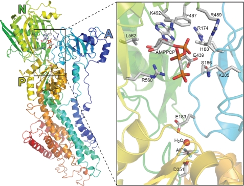 FIGURE 3.