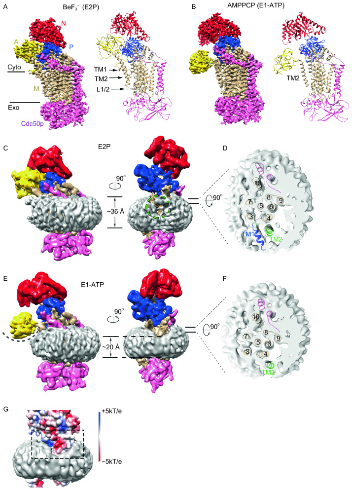 Figure 1