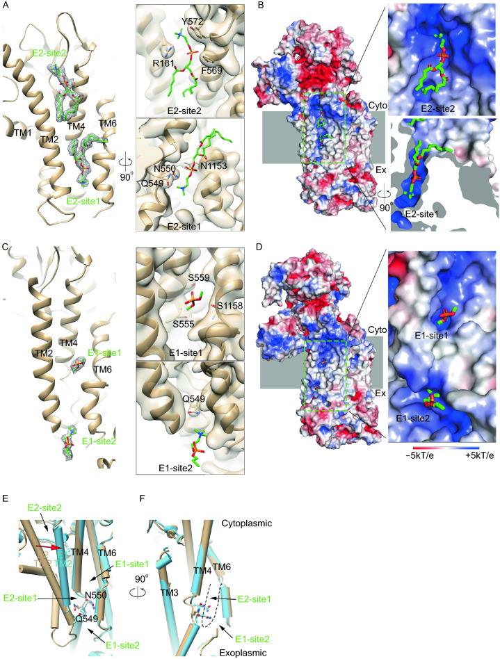 Figure 2