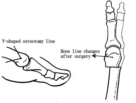 Figure 24.