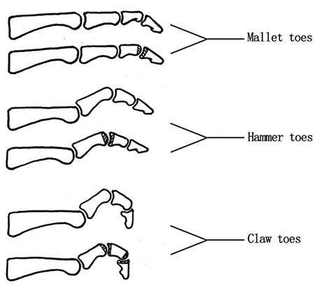 Figure 10.