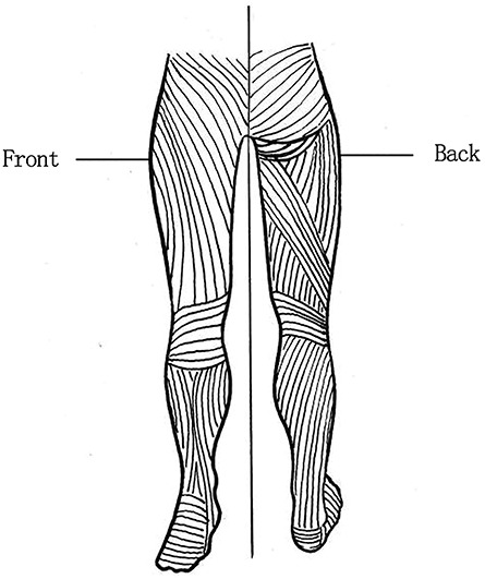 Figure 20.