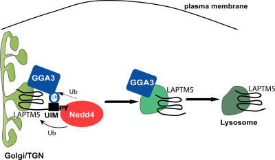 Figure 10.