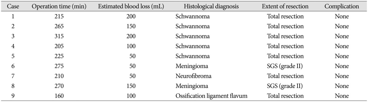 graphic file with name jkns-58-494-i002.jpg