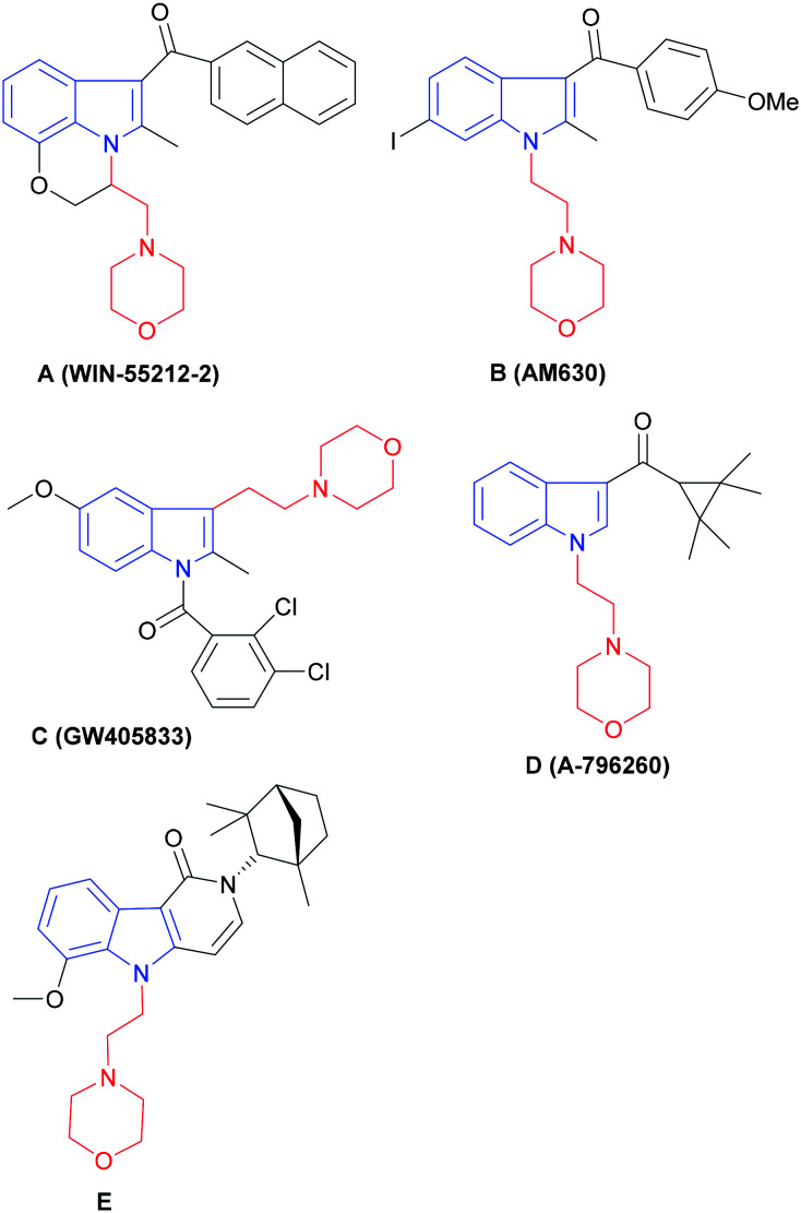 Fig. 1