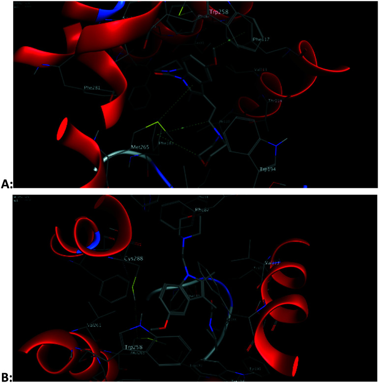 Fig. 5