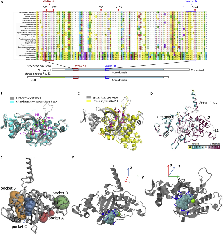 Figure 2